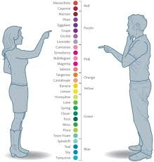 man and woman decideing on colors